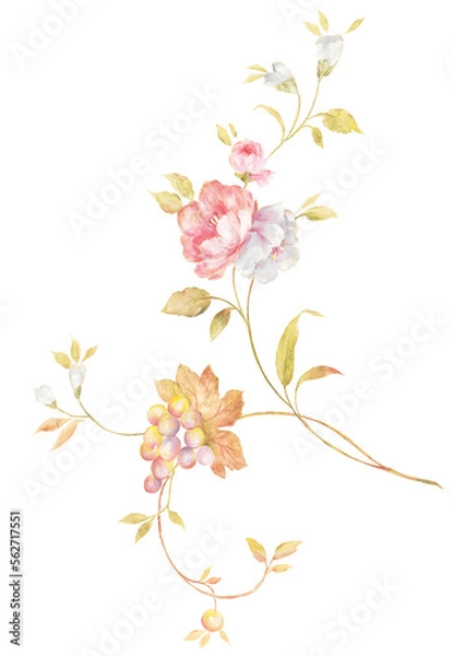 Fototapeta Flowers watercolor illustration.Manual composition.Big Set watercolor elements，Design for textile, wallpapers，Element for design,Greeting card
