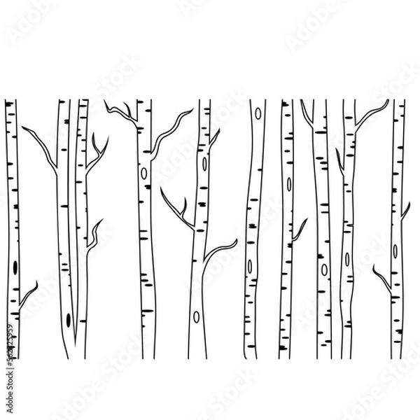 Fototapeta Birch tree icon vector. Forest illustration sign. Trees symbol or logo.