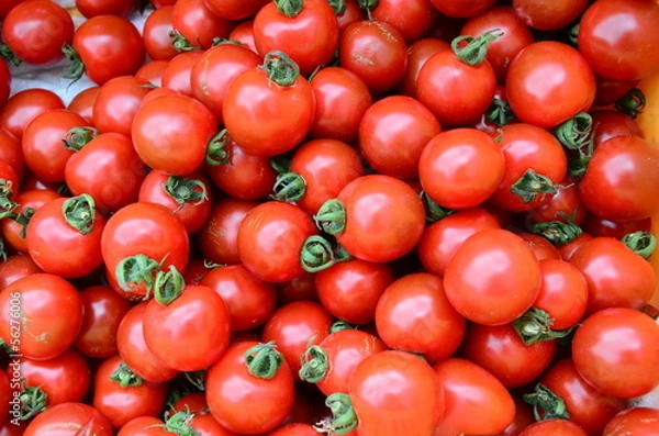 Fototapeta Pile of fresh tomatoes
