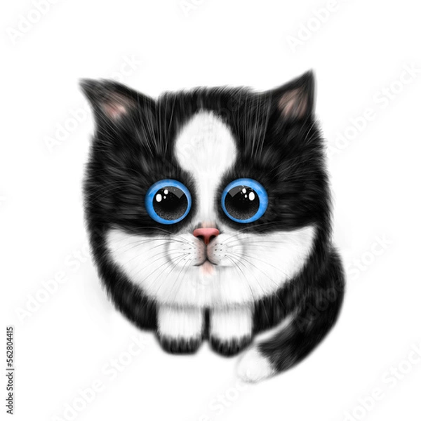 Obraz Cute black fluffy cat with light-blue eyes, white face, white end of the tail and white paws. Procreate illustration. Cute black and white cat.
