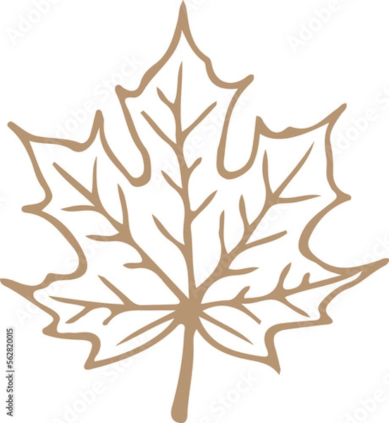 Obraz leaf design autumn nature