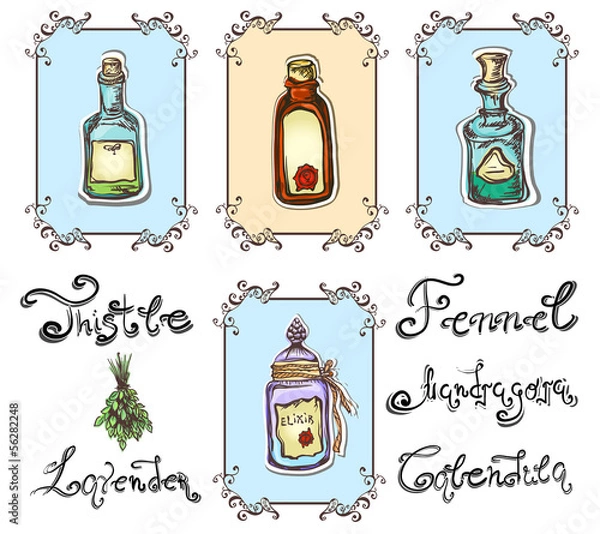 Obraz magic herbal potions set