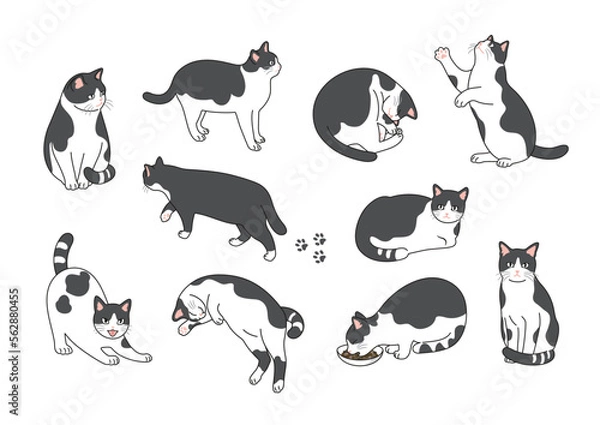 Obraz おしゃれな猫の線画イラストセット