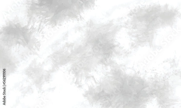 Fototapeta Watercolor White and gray background with texture. Abstract grey white background. Watercolor textures on white paper background.