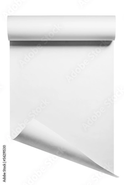 Fototapeta Roll of blank white paper ready for type, isolated