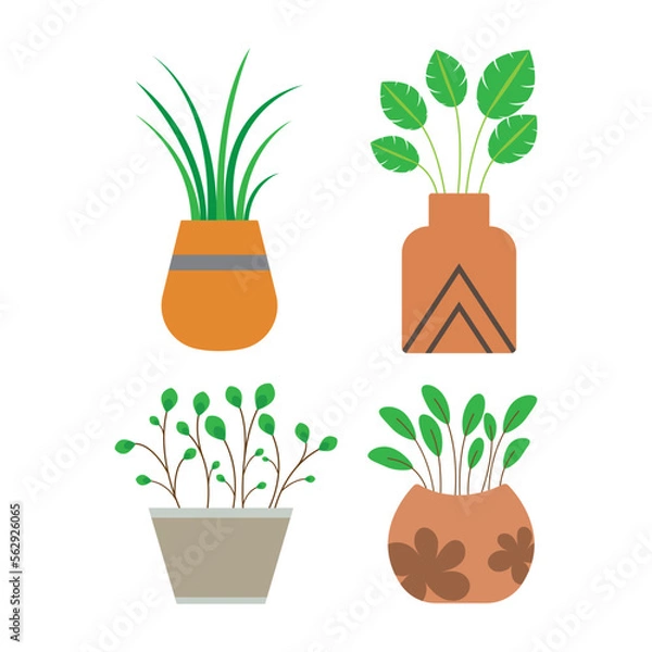 Fototapeta Set of plants in vector. Plants in pots isolated on a white background.