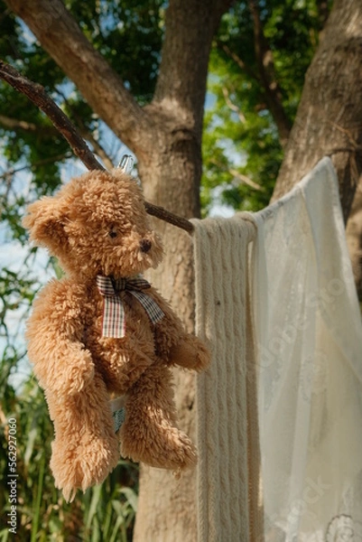 Obraz teddy bear in the window