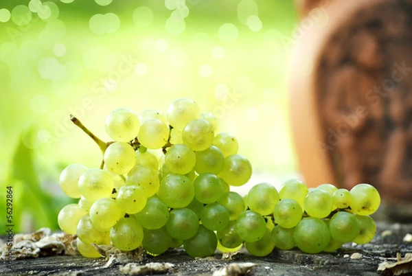 Fototapeta organic grapes