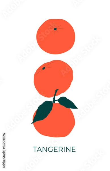 Fototapeta Orange tangerines. Flat vector illustration. Price tag, label, packaging and advertising poster of the product. Minimalistic, modern label. 