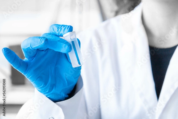 Fototapeta Close up scientist hand holding a spectrophotometry cuvette with blue gloves. Lab equipment for spectrophotometer. Education, development and science research. Horizontal copy space. 
