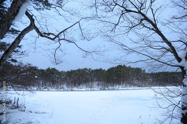 Fototapeta 冬の五色沼