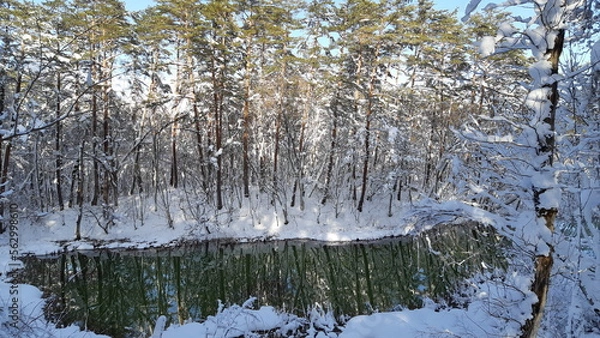 Fototapeta 冬の五色沼