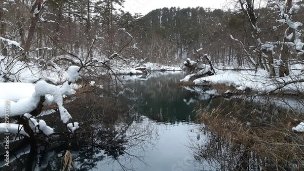 Fototapeta 冬の五色沼