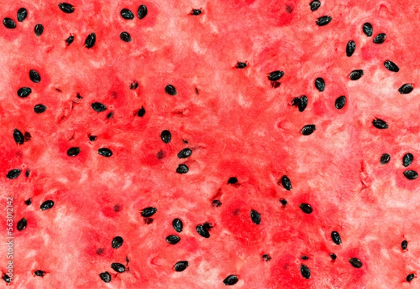 Obraz Watermelon Back