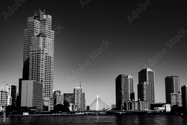 Obraz 都市の河川