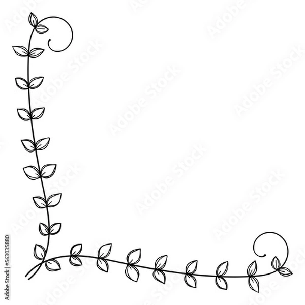 Fototapeta 繊細な植物や花のボタニカルコーナーフレーム　ベクター素材