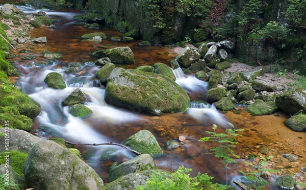 Fototapeta Mountain wild stream.