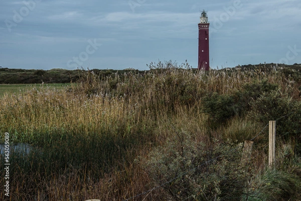 Fototapeta red lighthouse behind dunes with typical vegetation on the Dutch Northsea coast