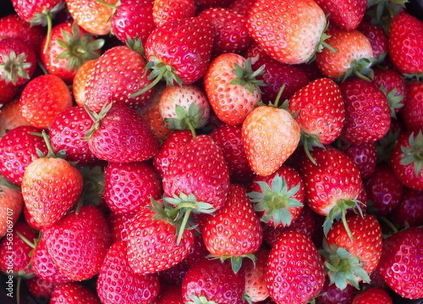 Obraz strawberries in the market