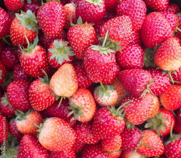 Obraz strawberries on market