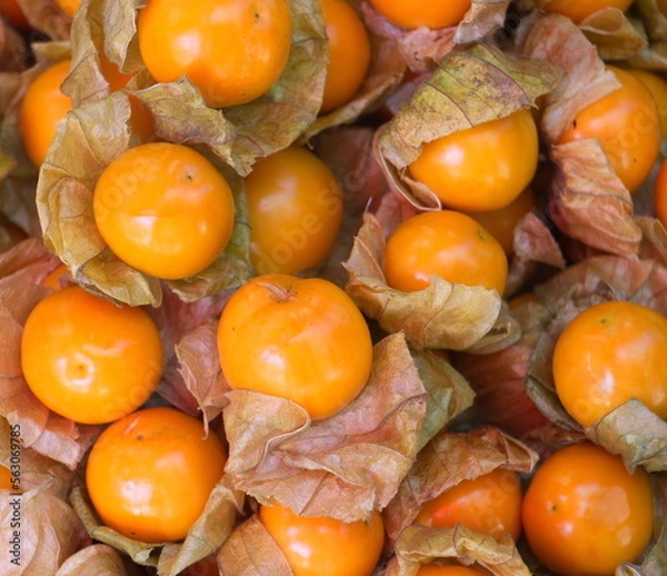Obraz A round yellow fruit with a brown rind.