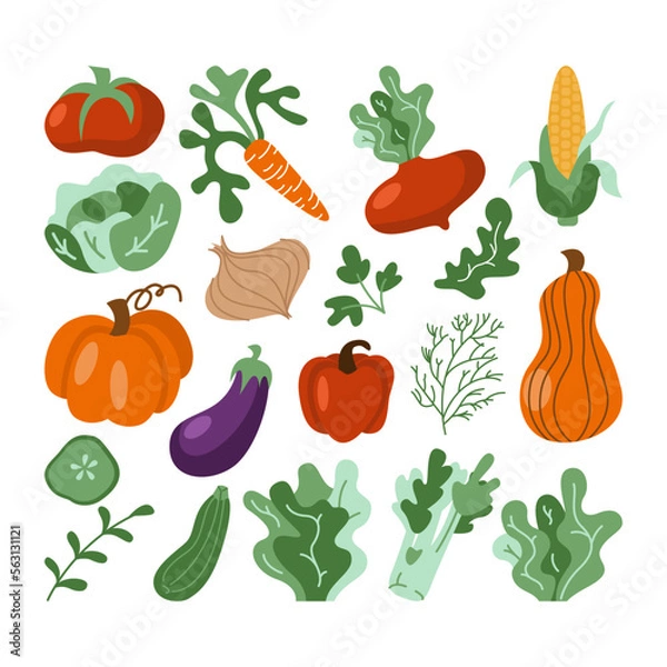 Fototapeta Vector vegetables icons set in cartoon flat style. Collection farm locally grown product for restaurant menu, market label. Tomatoes, carrot, pepper, pumpkin, corn isolated on background