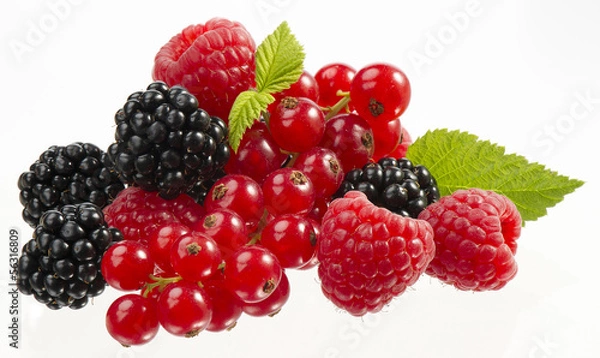 Obraz frutti di bosco