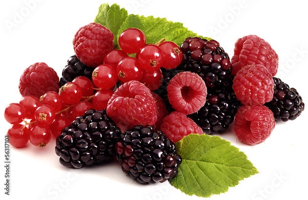 Obraz frutti di bosco