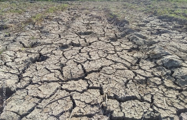 Fototapeta dry cracked earth