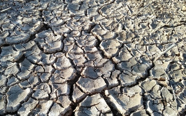 Fototapeta dry cracked earth