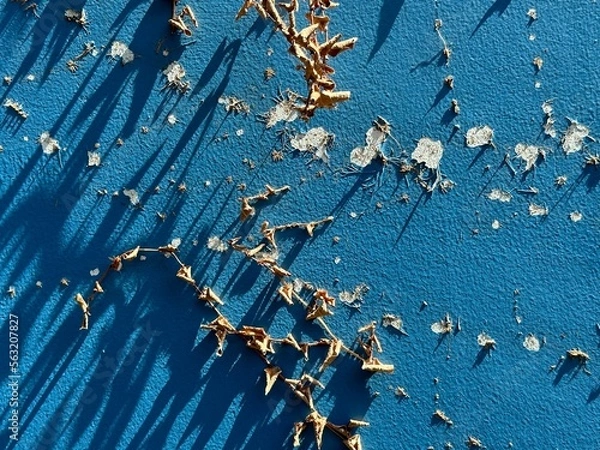 Obraz background broken wall with leaf