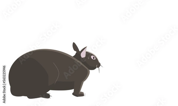 Obraz 南国奄美のアマミノクロウサギ　コピースペース