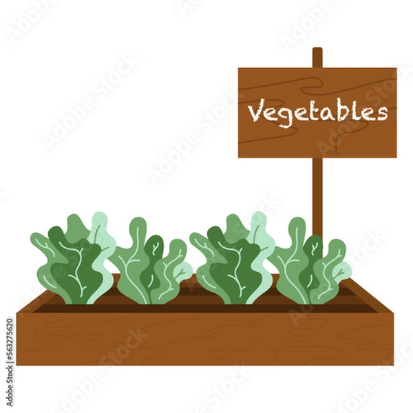 Fototapeta Wooden box, crate with soil, ground and greenery sprouts, seedling in cartoon flat style isolated on white background. Vegetables farming, organic food Greenhouse, spring, agriculture concept.