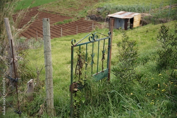 Obraz old rusty gate to the garden
