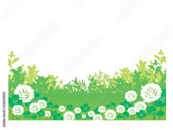 Obraz 明るい健康的な白爪草が咲く野原・原っぱの風景