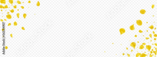 Fototapeta Amber Sakura Blur Vector Panoramic Transparent