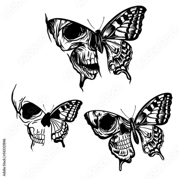 Fototapeta Butterflies with skull on wings, hand drawn vector art with tattoo style
