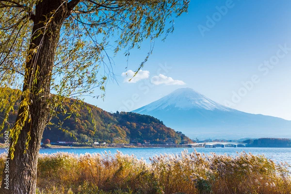 Fototapeta Mt. Fuji and lake