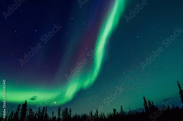 Obraz Northern lights