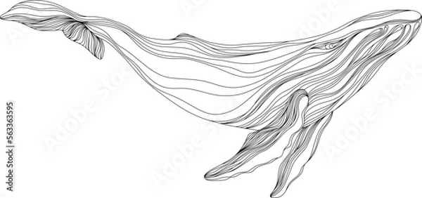 Fototapeta Abstract whale floating underwater. Illustration isolated animal on white background. Ocean mammal swimming.