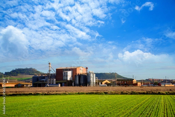 Obraz Beautiful landscape scenery with agro-processing and manufacturing plant and field under blue cloudy sky, Agricultural Silos - Building Exterior, Storage and drying of grains, wheat, corn, soy