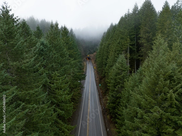 Obraz Oregon Coast Road Aerial