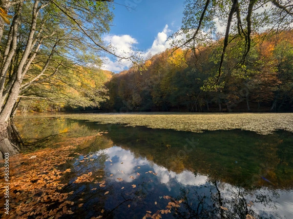 Obraz Bolu Yedigöller