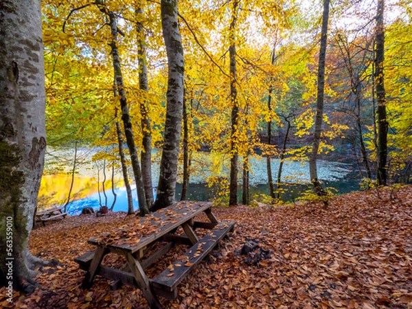 Obraz Bolu Yedigöller