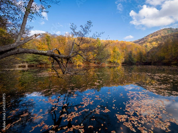 Obraz Bolu Yedigöller