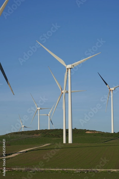 Obraz wind turbine in the field