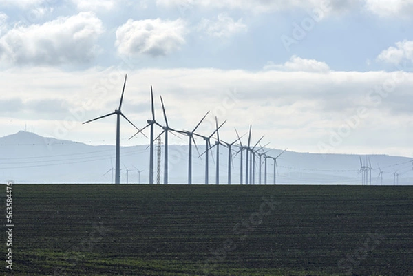 Obraz wind turbine in a field