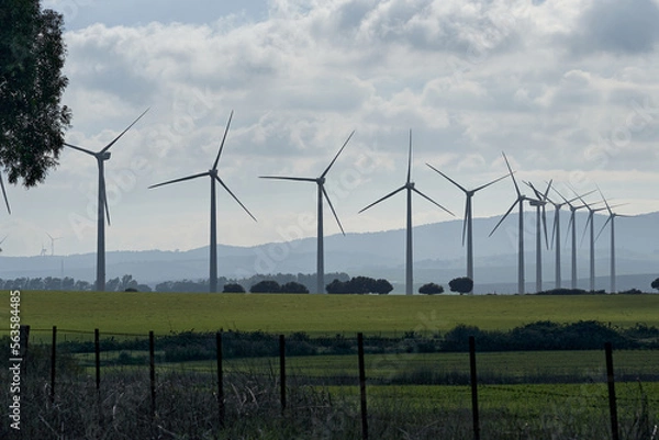 Obraz wind turbine in the field
