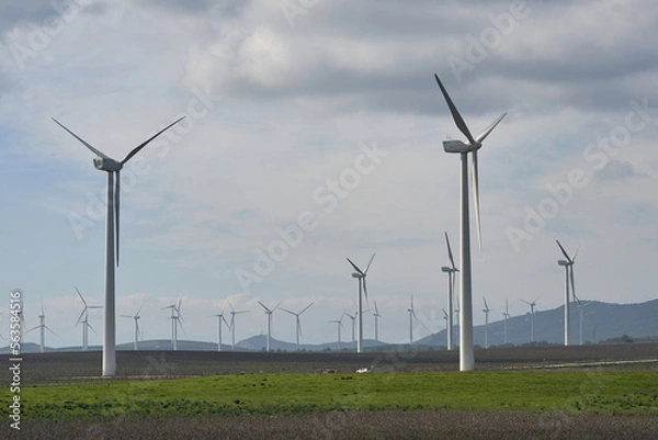 Obraz wind turbine in the field