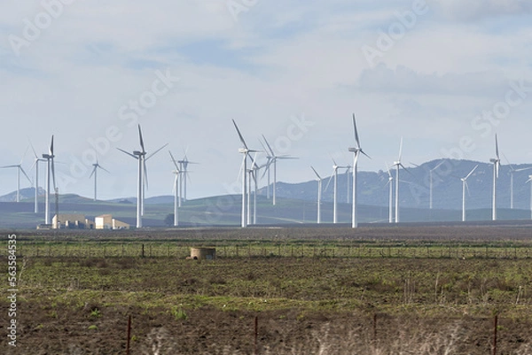 Fototapeta wind farm in the field